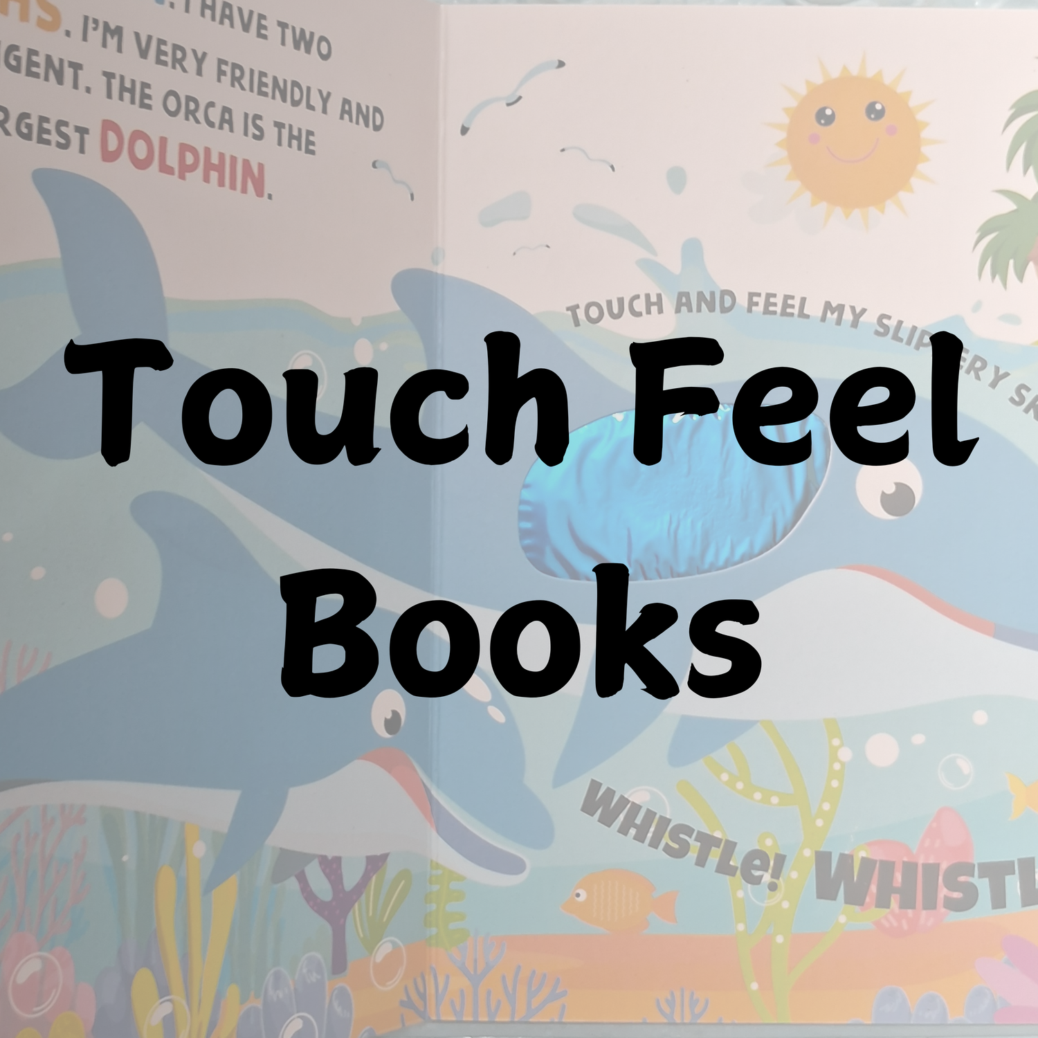 Touch and Feel books for Below Age 1