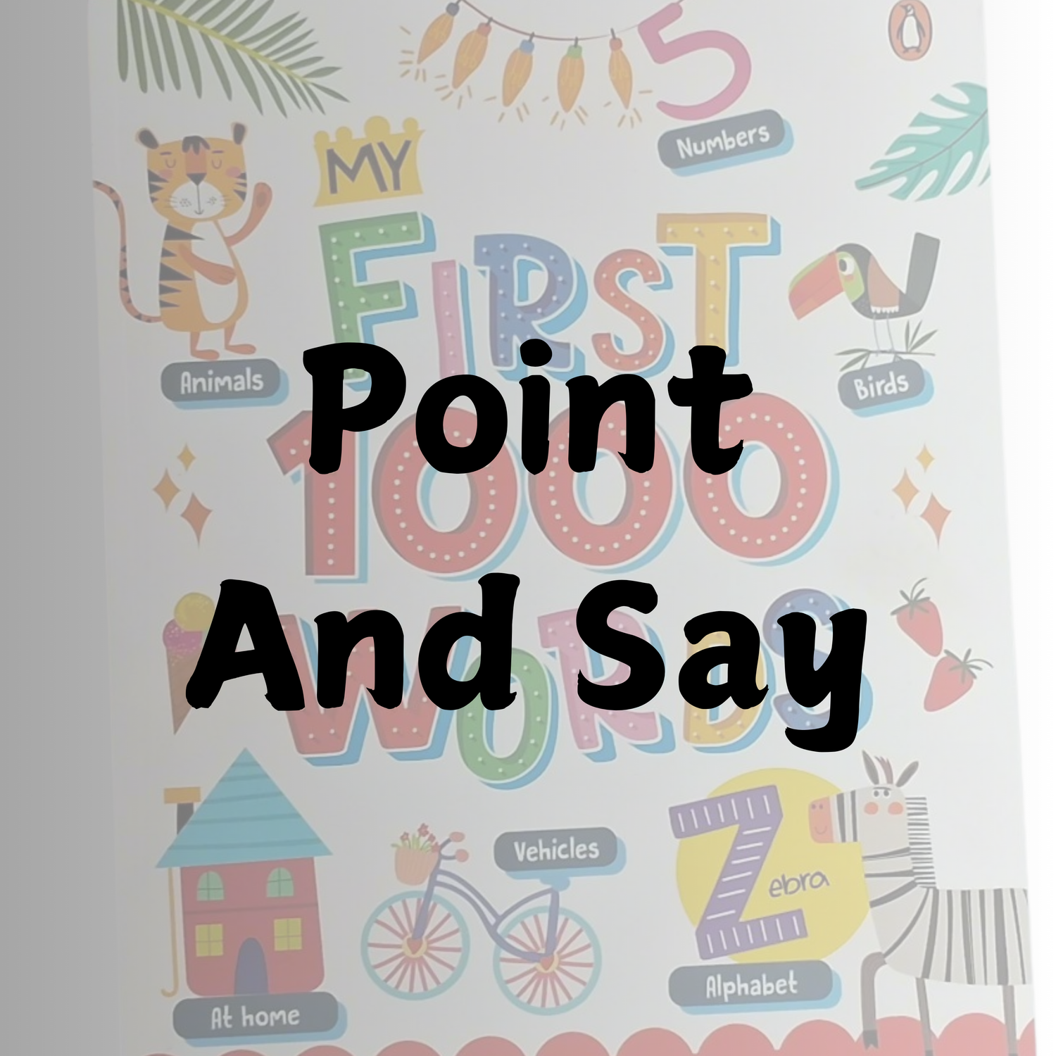 Point and Say Books for Toddlers