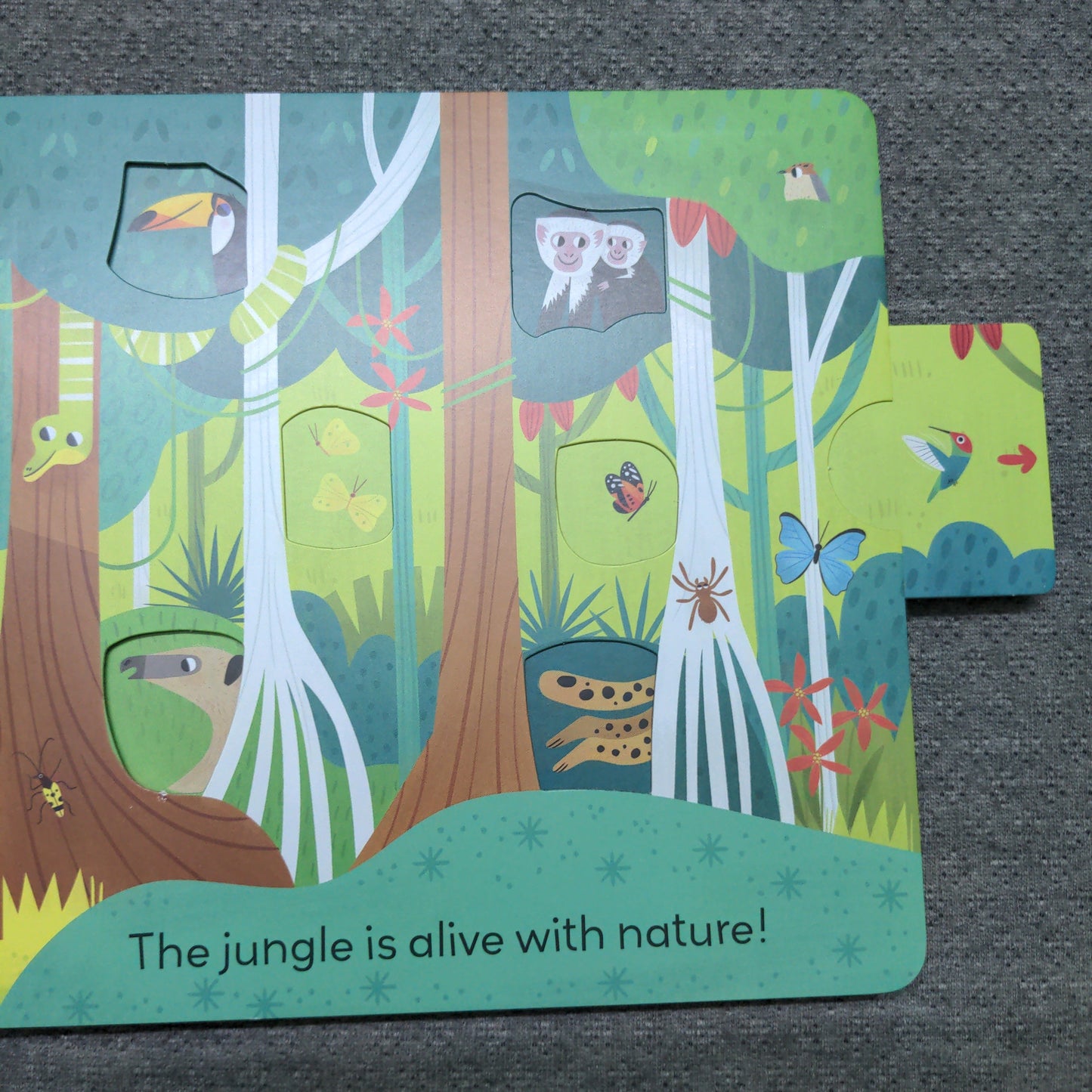 Jungle Journey - Push and Pull adventure