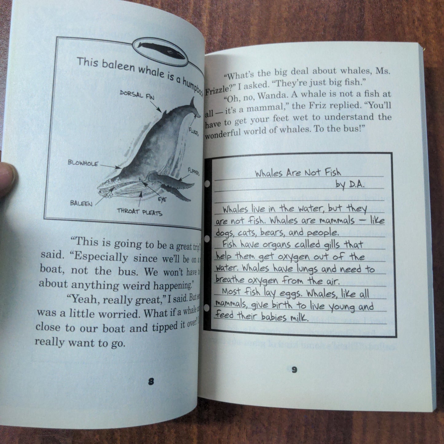 Magic Bus Book: THE WILD WHALE WATCH - New Book