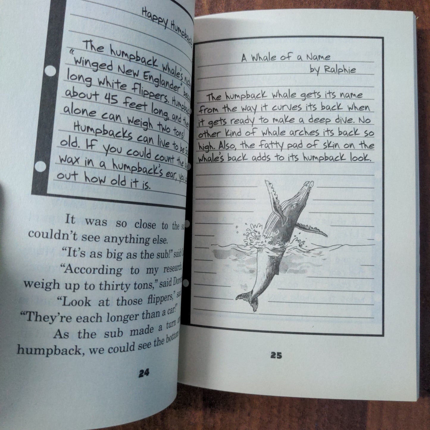 Magic Bus Book: THE WILD WHALE WATCH - New Book