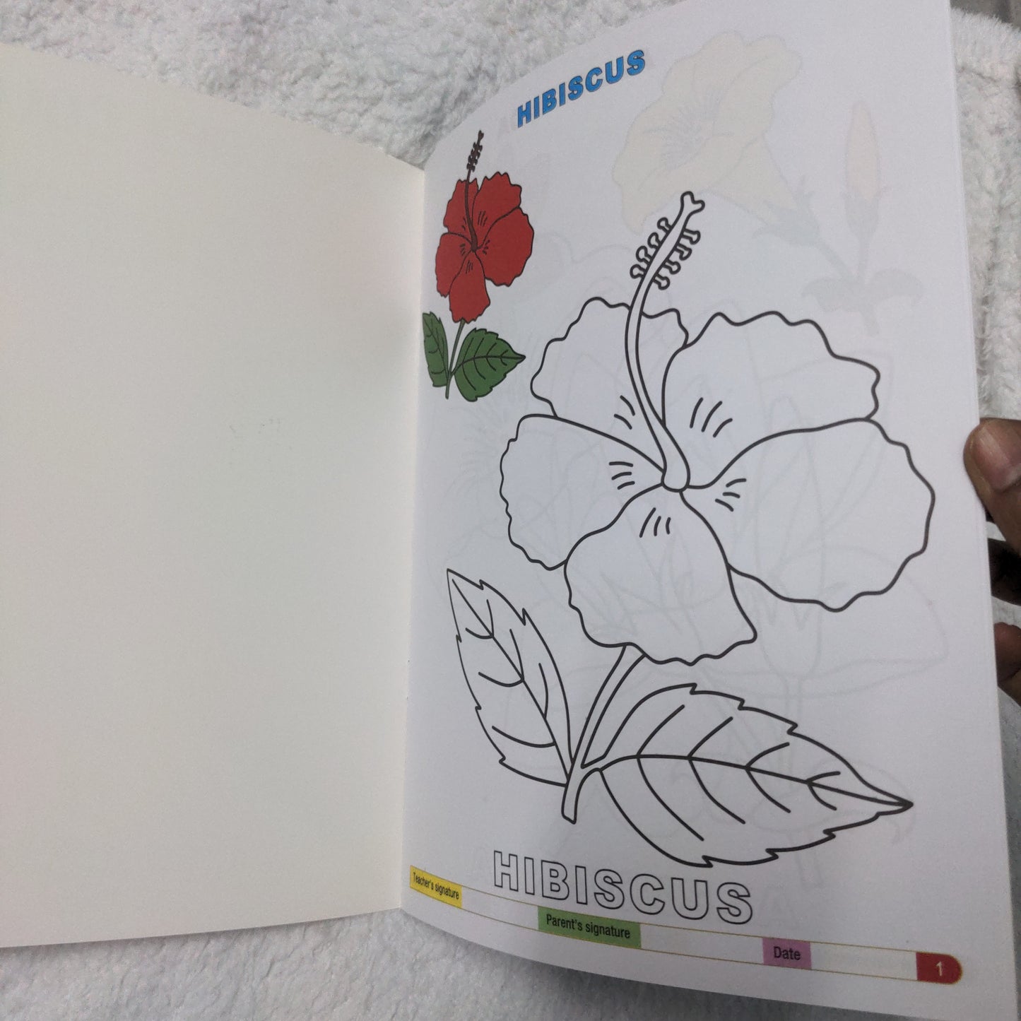 My Funtime Copy Colour - Flowers