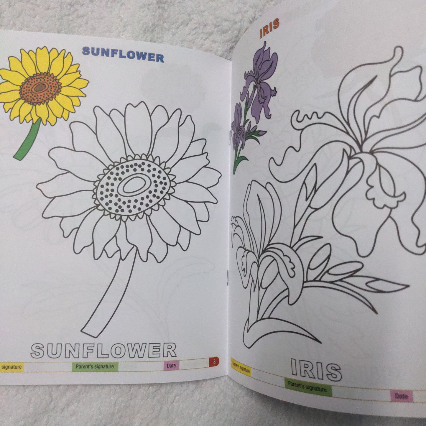 My Funtime Copy Colour - Flowers