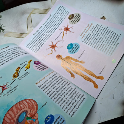 Kids Encyclopedia-Human Body