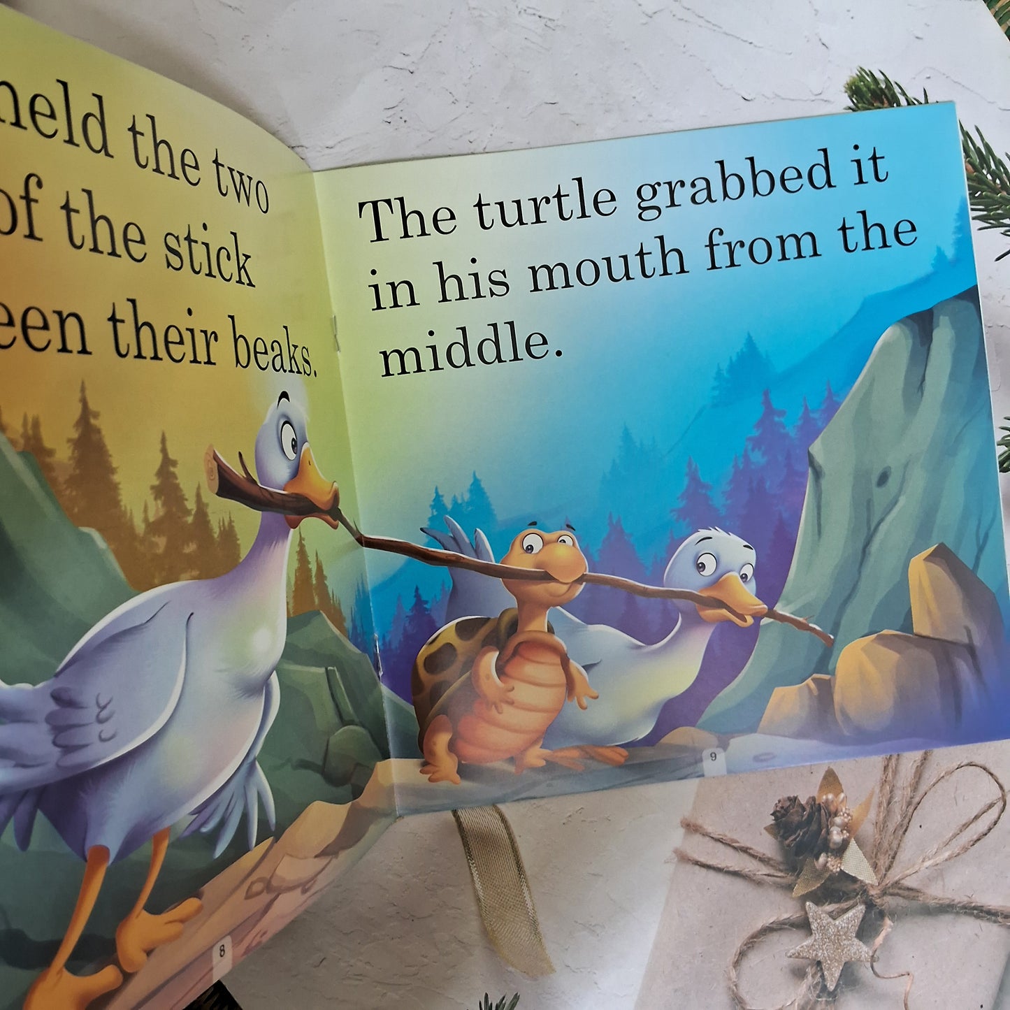 The Turtle who Fell off the Stick - Large Print