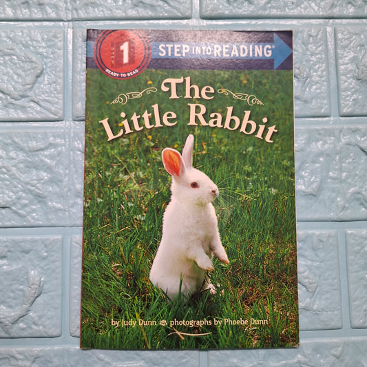 The Little Rabbit - Very Good Condition Paperback