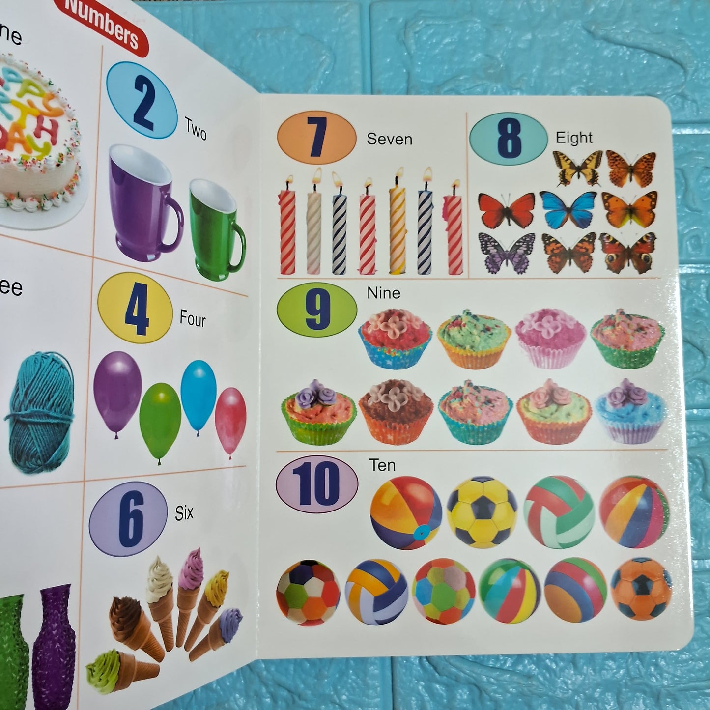 All in One Board Book