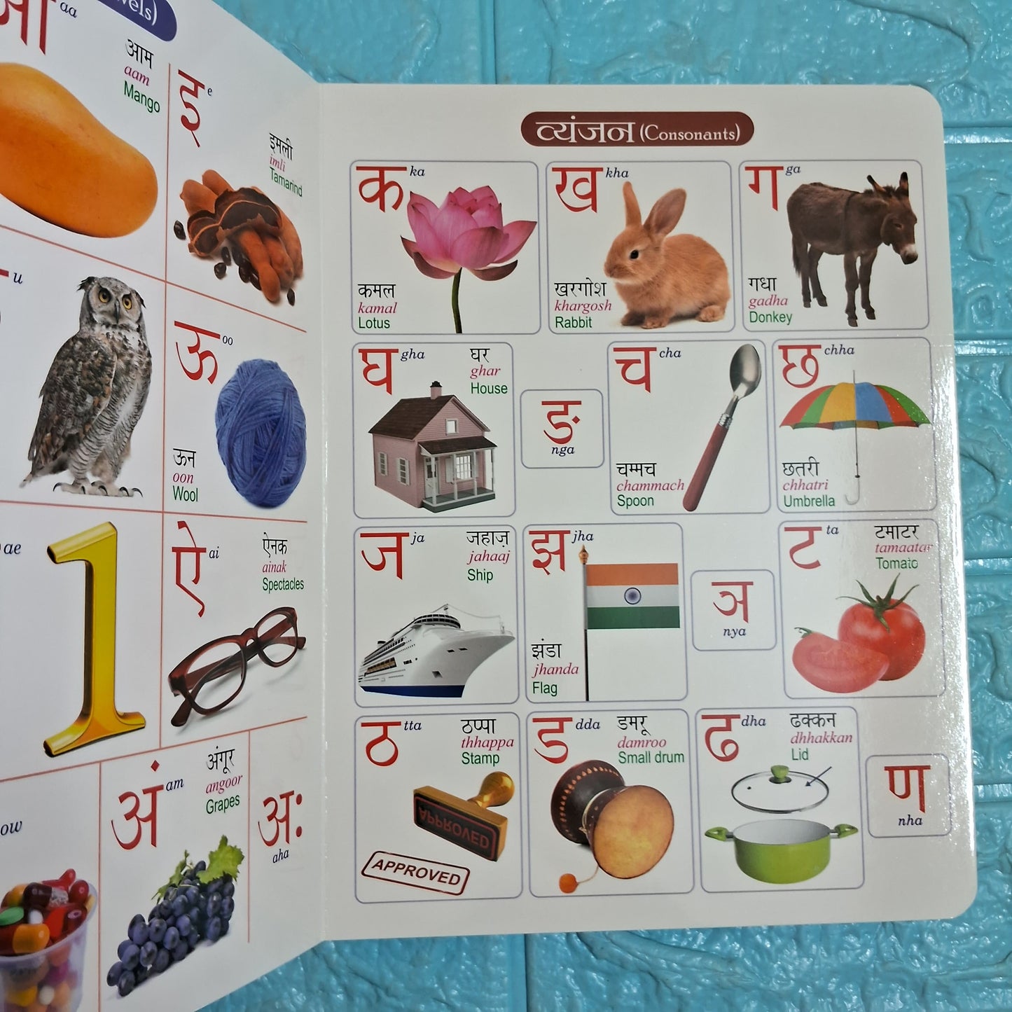 All in One Board Book