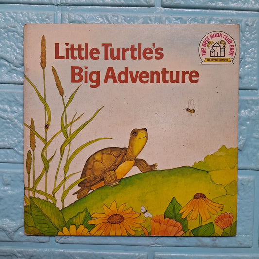 Little Turtle's Big Adventure - Good Condition Paperback