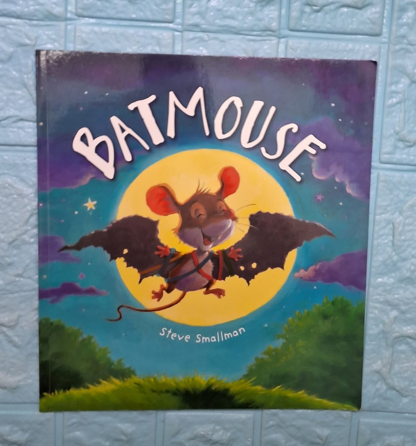 Bat Mouse - Very Good Condition Paperback - We Are Turners