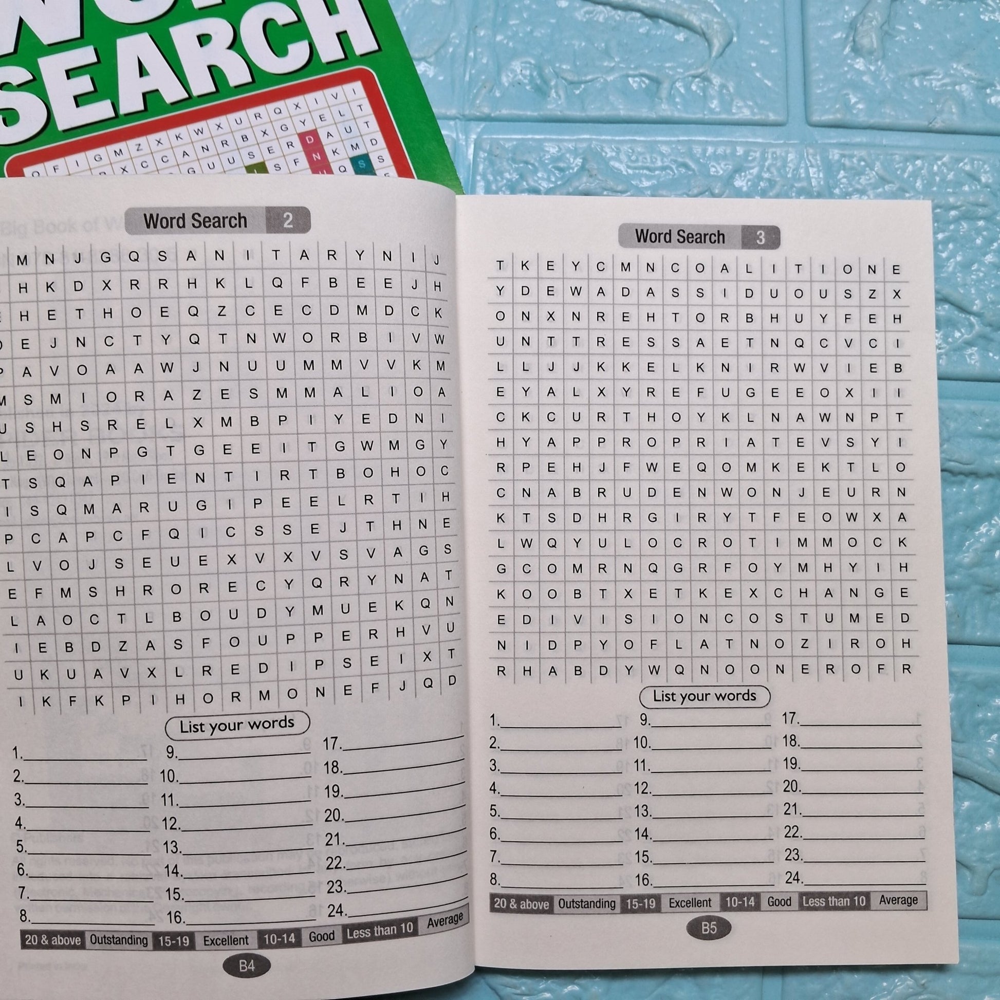 Combo of Big Book of Word Search (4 Books) - We Are Turners