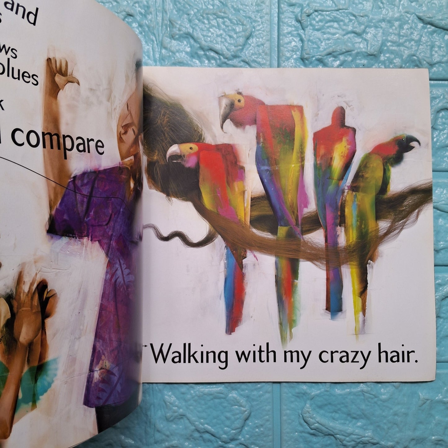 Crazy Hair - Good Condition Paperback - We Are Turners