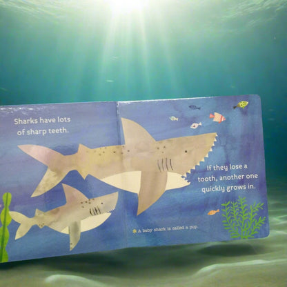 Hello, World! Ocean Life - New Book - We Are Turners