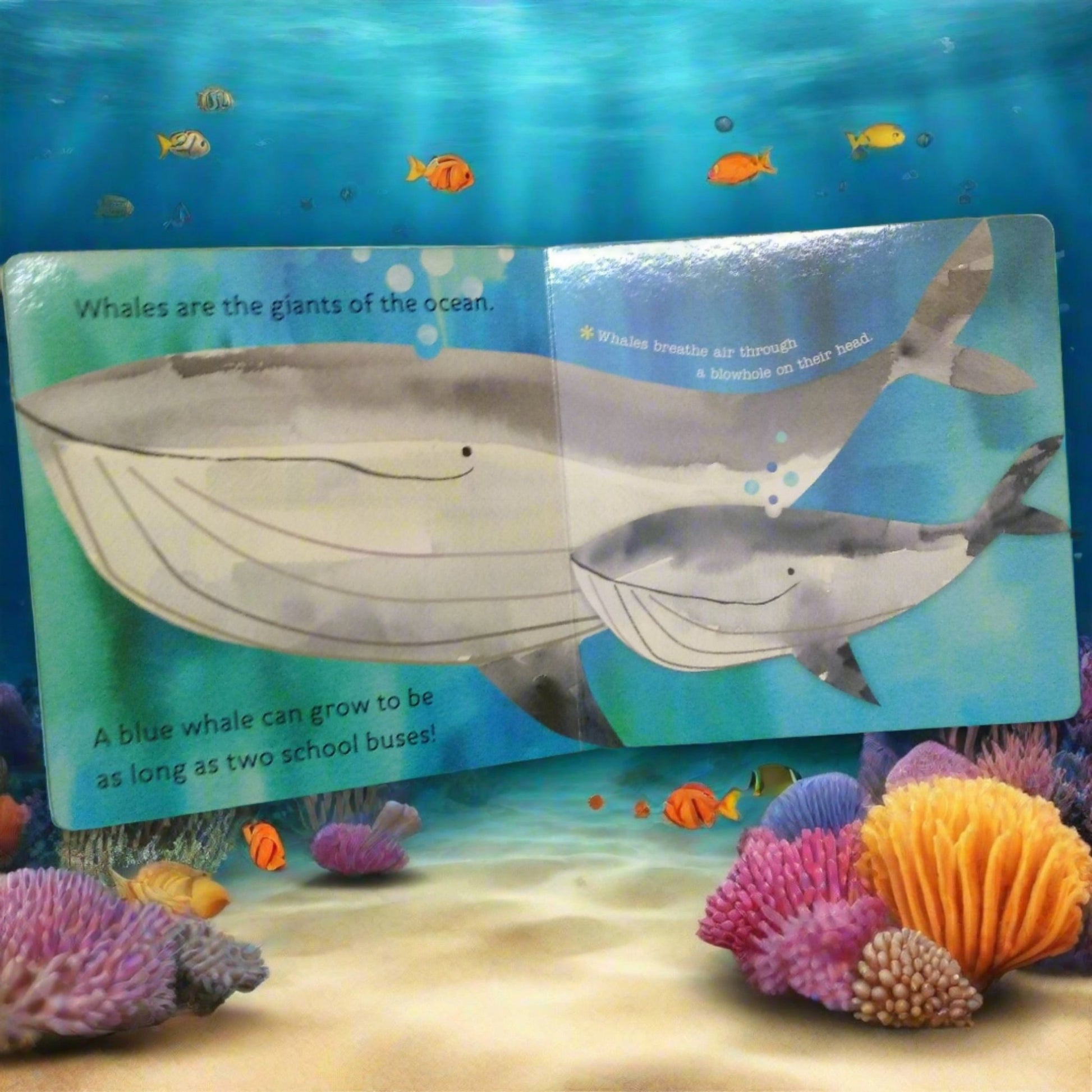 Hello, World! Ocean Life - New Book - We Are Turners