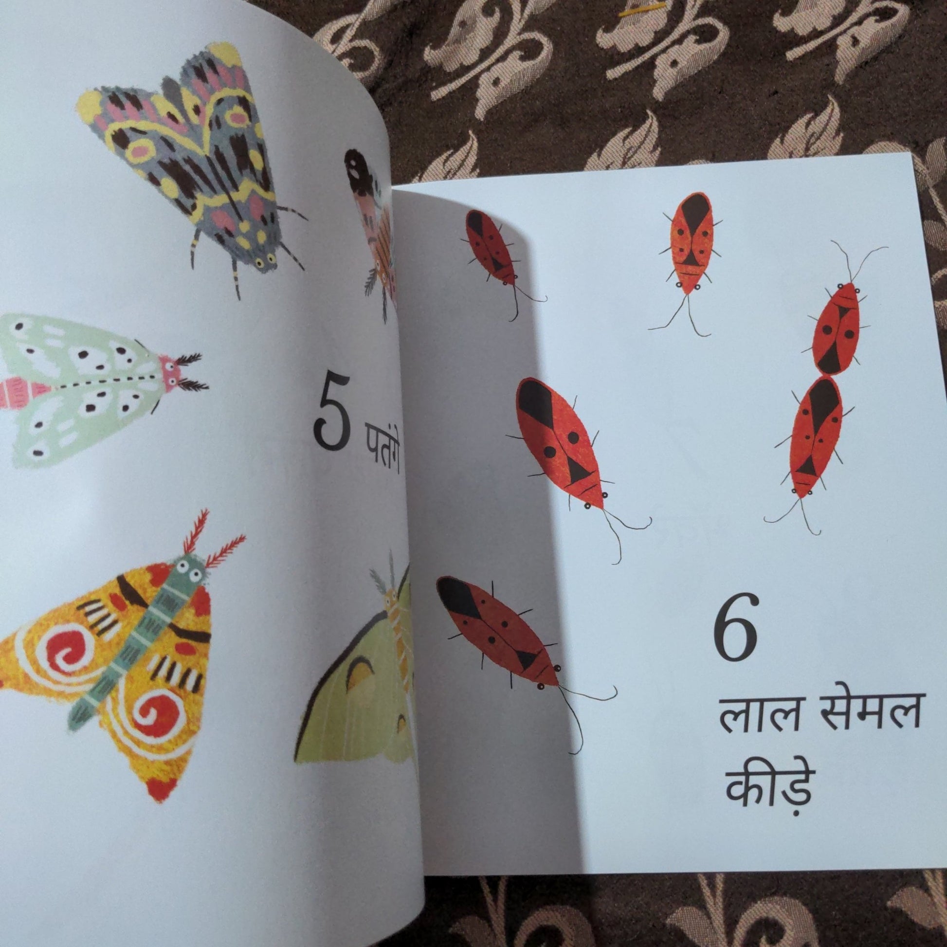 incredible - insects - counting - book - hindi - We Are Turners