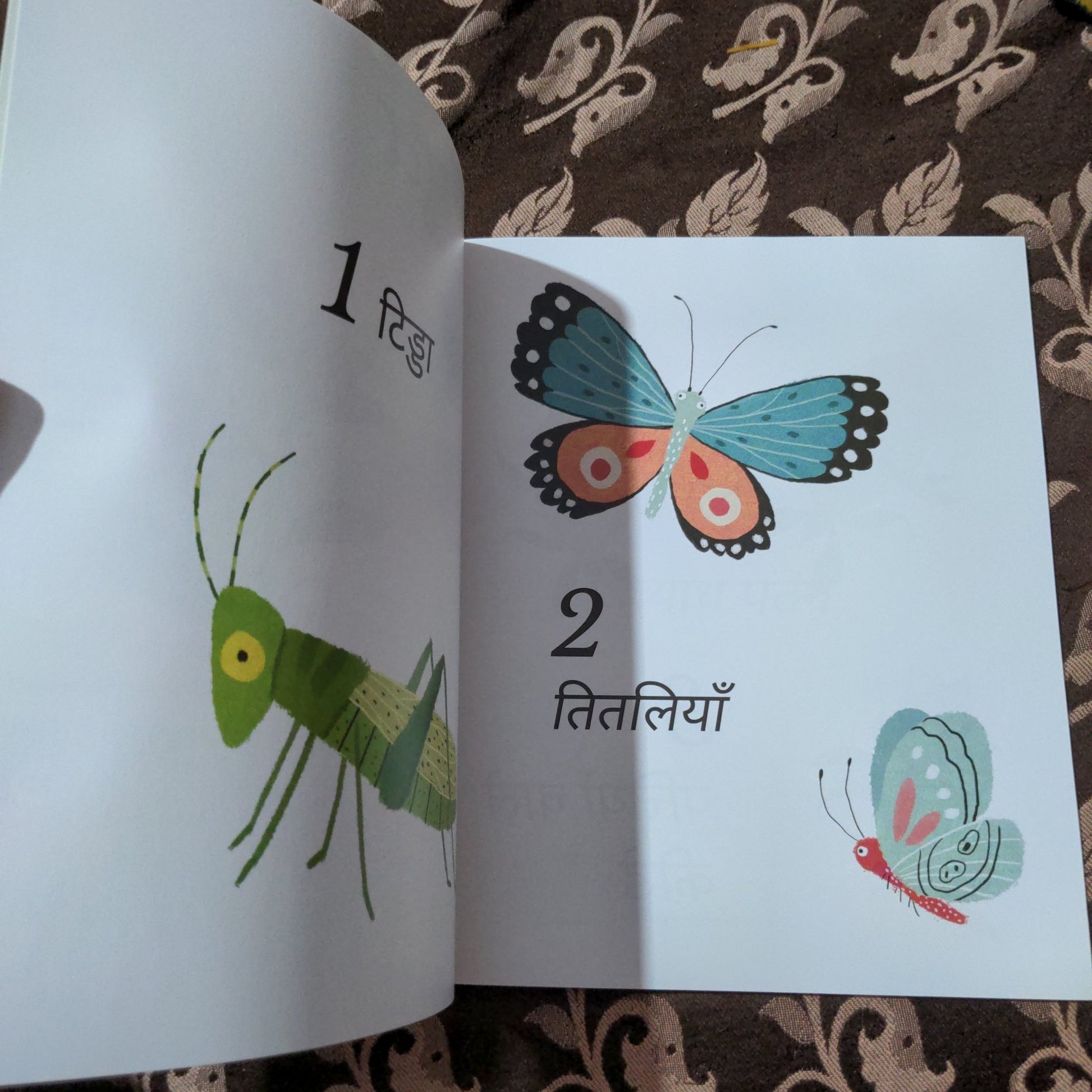 incredible - insects - counting - book - hindi - We Are Turners