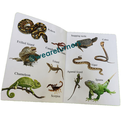 Insects - Sea Creatures - Reptiles - We Are Turners