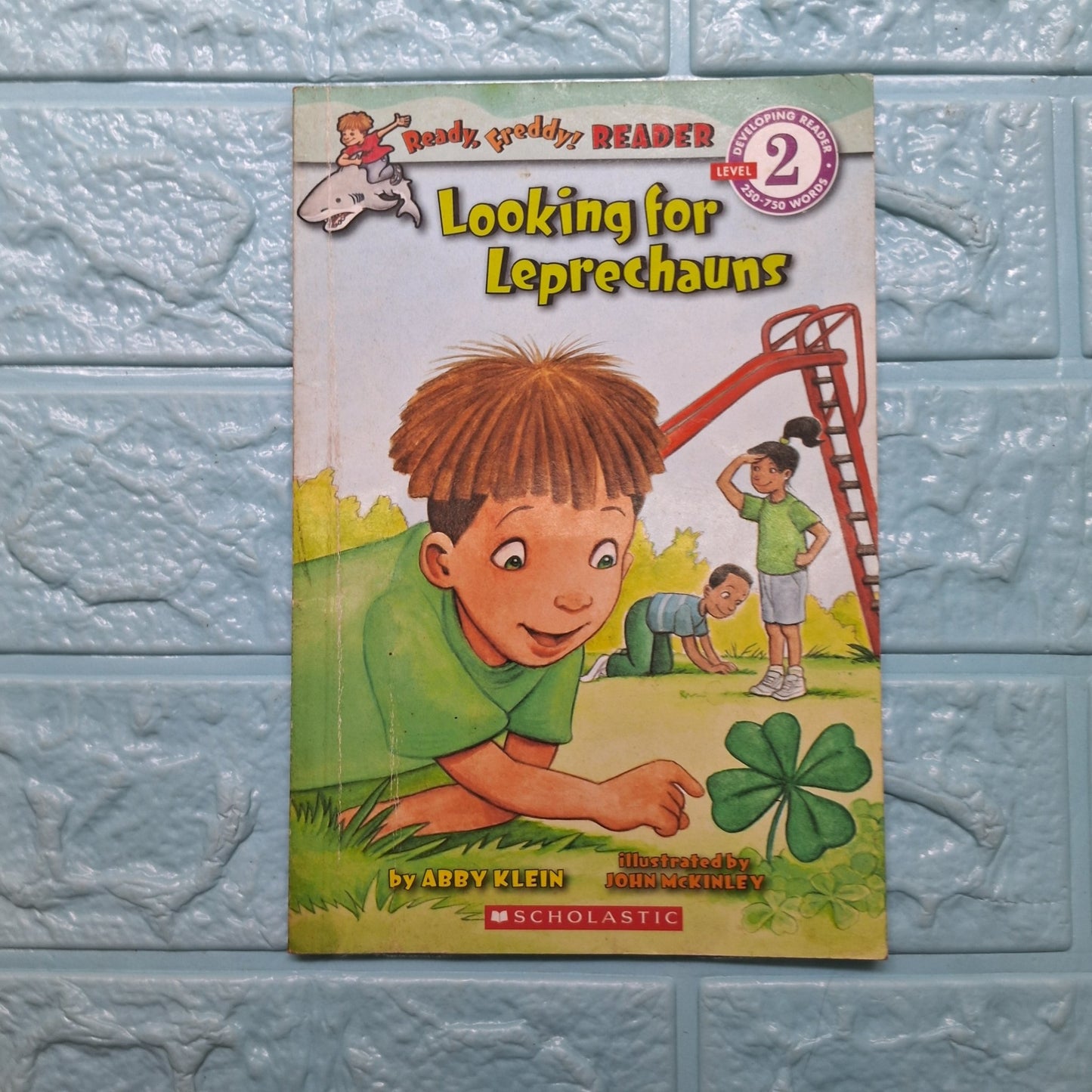 Looking for Leprechauns - Good Condition Paperback - We Are Turners