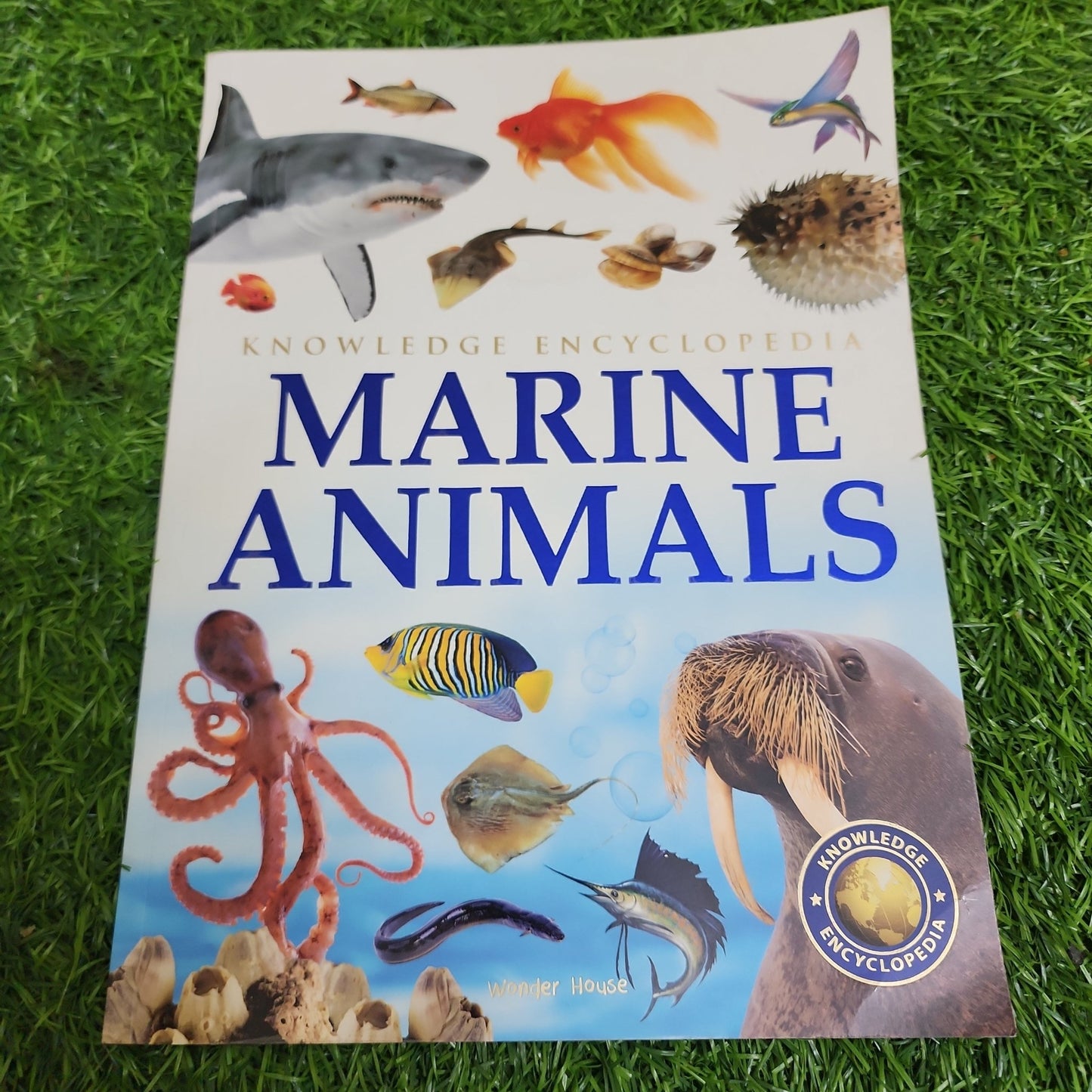 Marine Animals - Preloved - We Are Turners