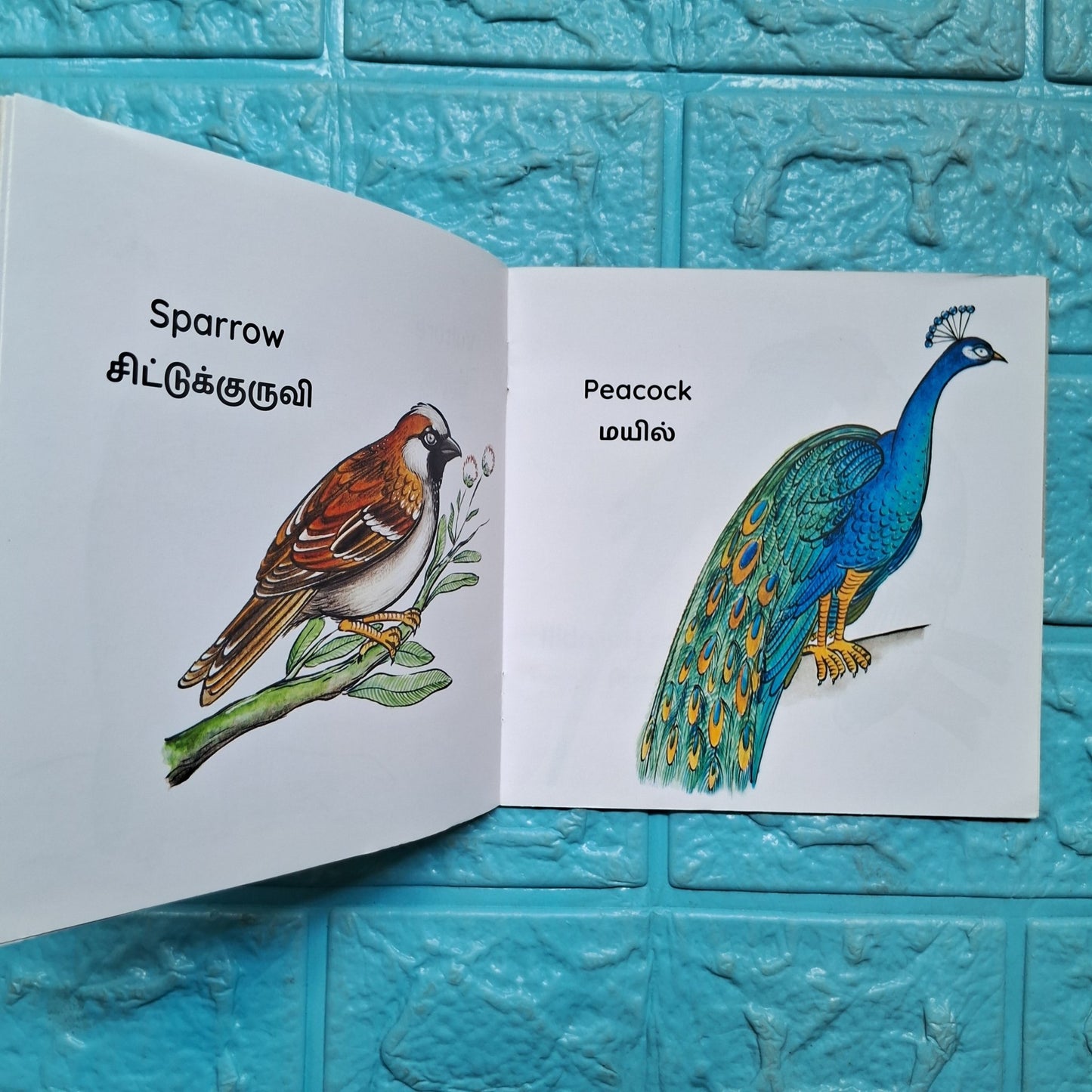 My First Book of Birds - English - Tamil - Level 1 - Pratham - We Are Turners