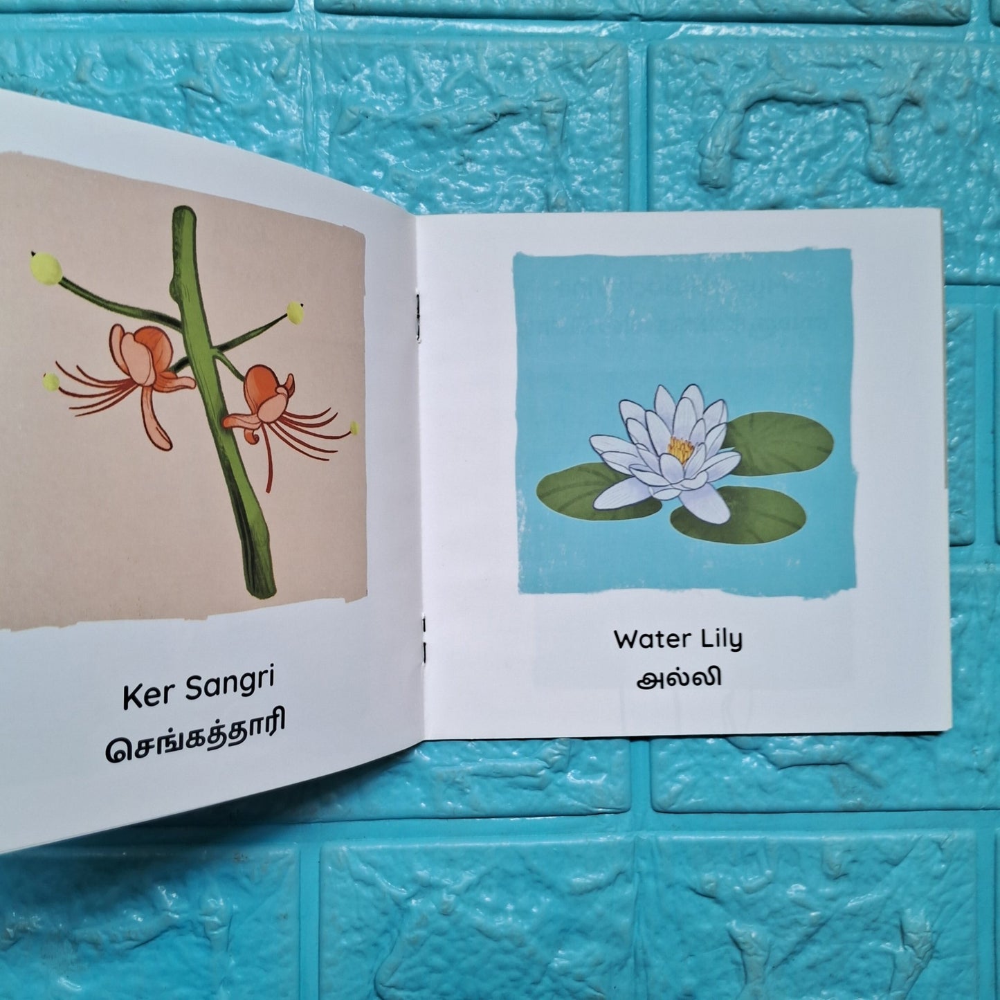 My First Book of Flowers - English - Tamil - Level 1 - Pratham - We Are Turners