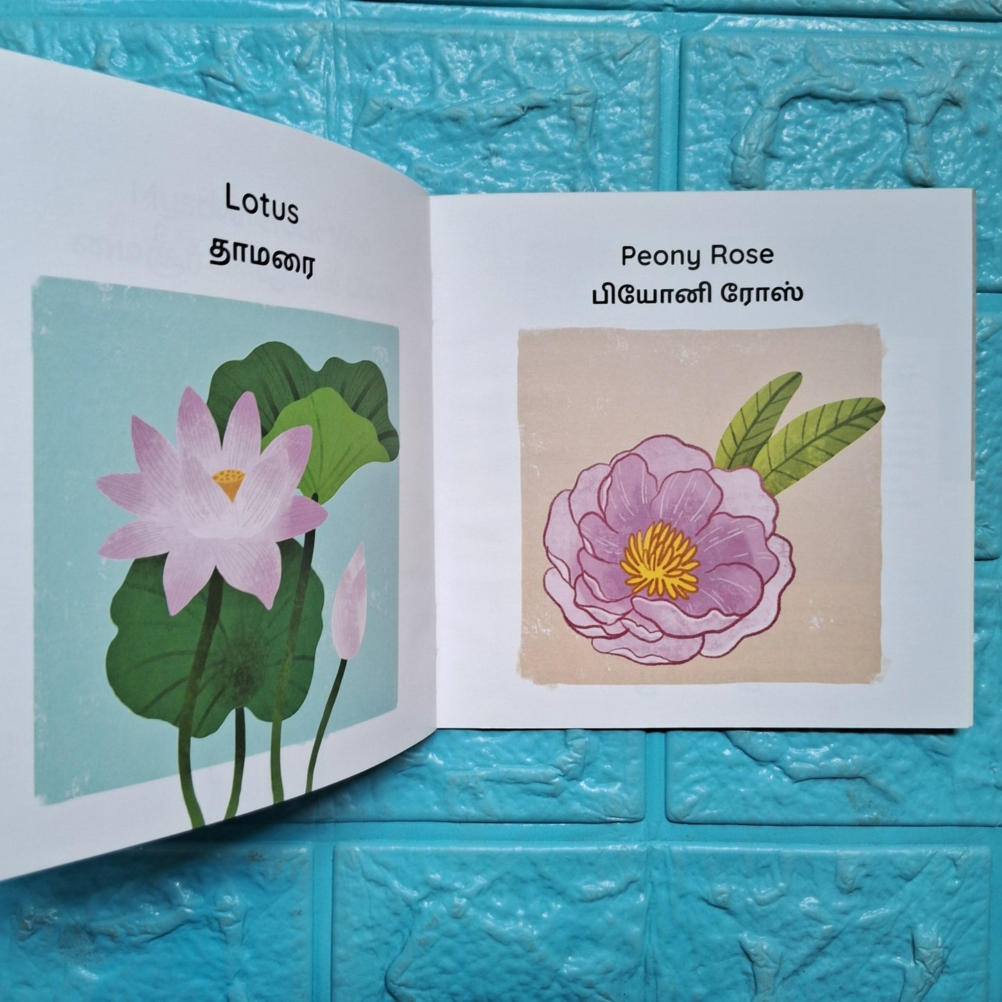 My First Book of Flowers - English - Tamil - Level 1 - Pratham - We Are Turners