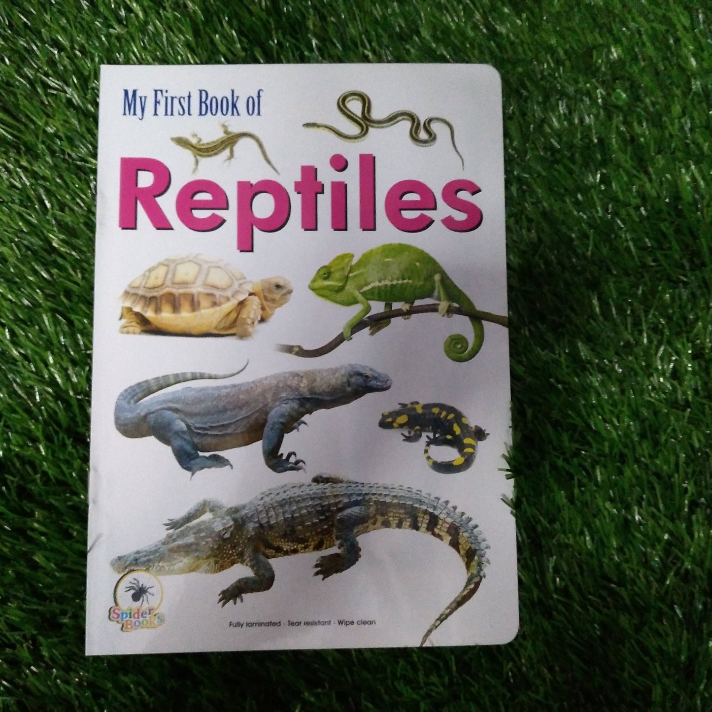 My First Book of Reptiles - We Are Turners