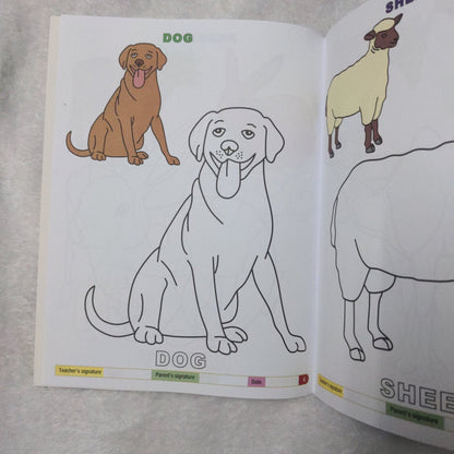 My Funtime Copy Colour - Domestic Animals - We Are Turners