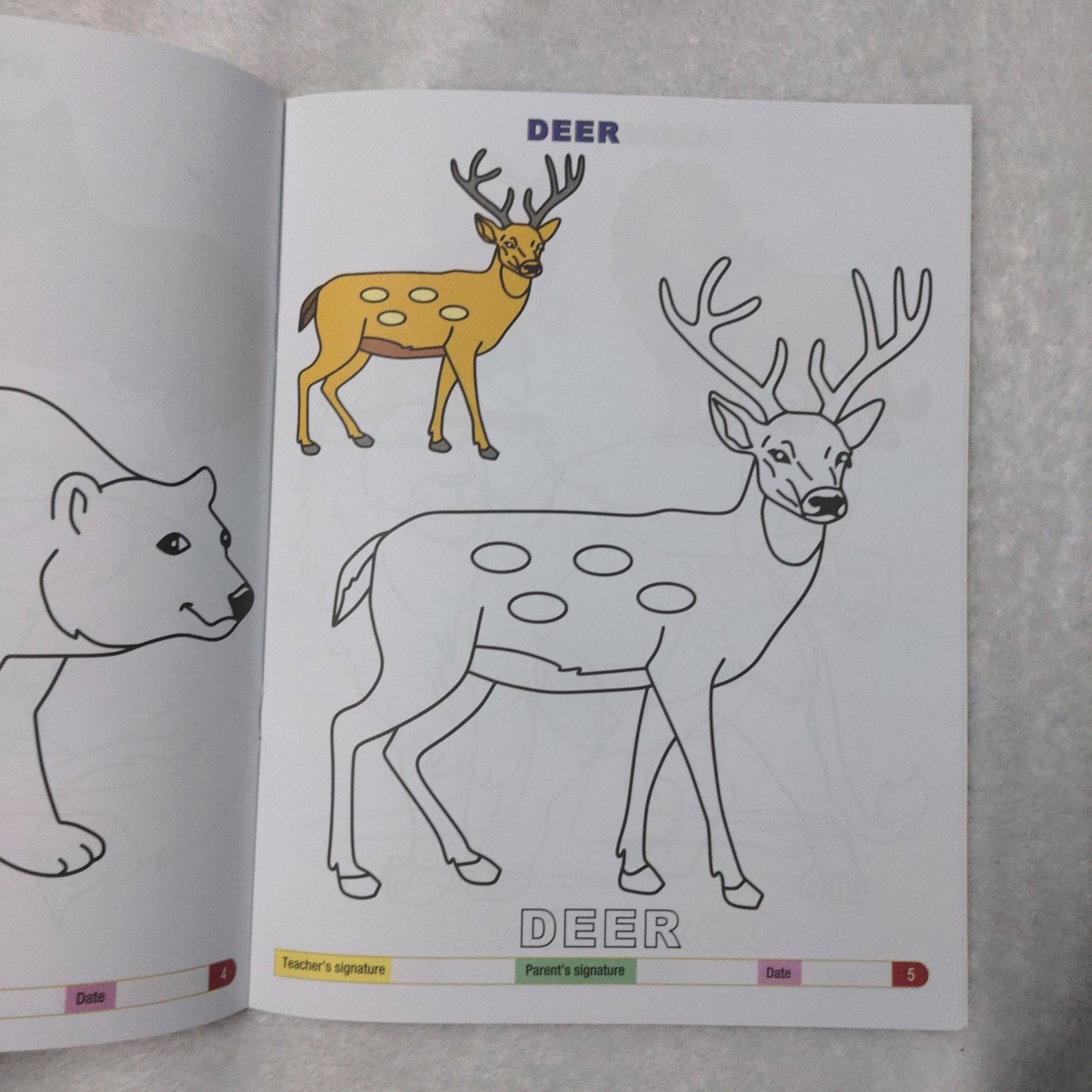 My Funtime Copy Colour - Wild Animals - We Are Turners