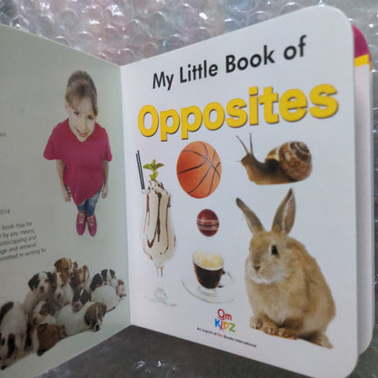 My Little Book of Opposites - We Are Turners