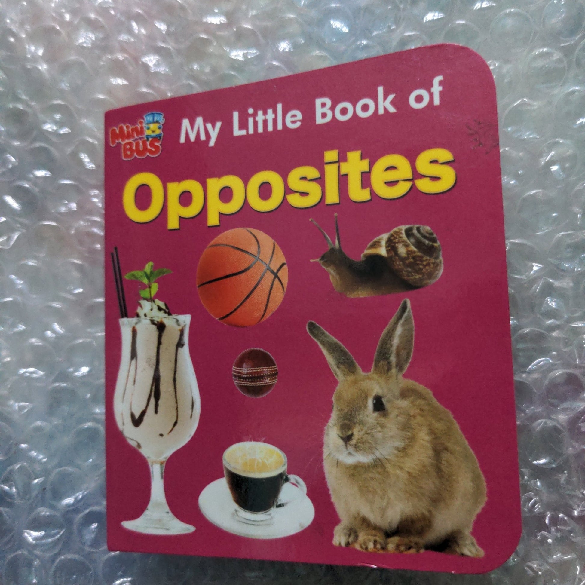 My Little Book of Opposites - We Are Turners