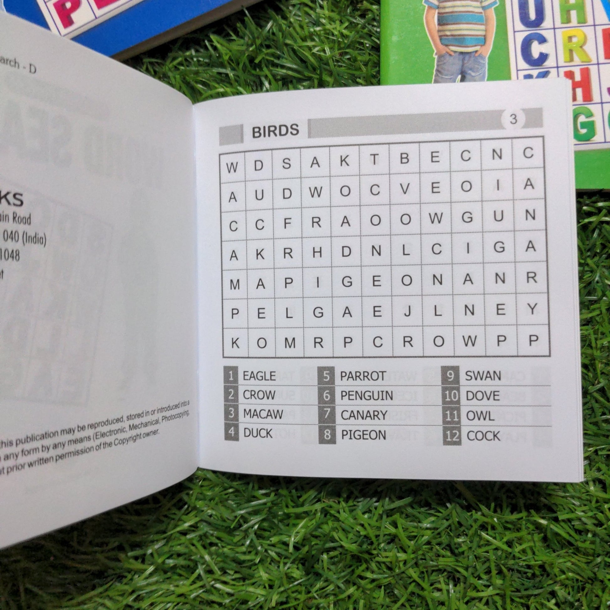 My Little Book of Word Search - Single Book - We Are Turners