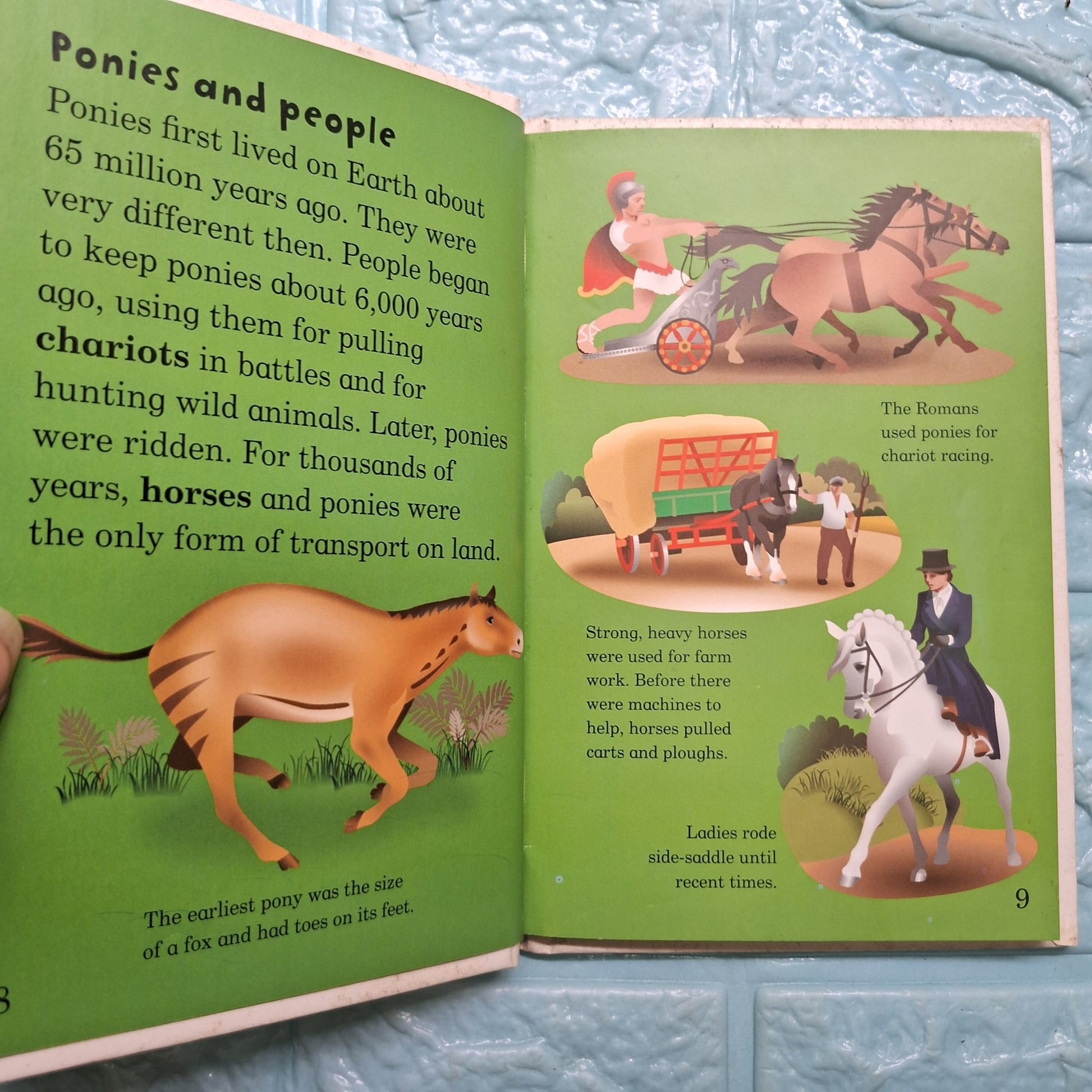 Ponies - Very Good Condition Hardcover - We Are Turners