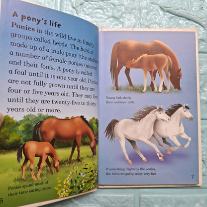 Ponies - Very Good Condition Hardcover - We Are Turners