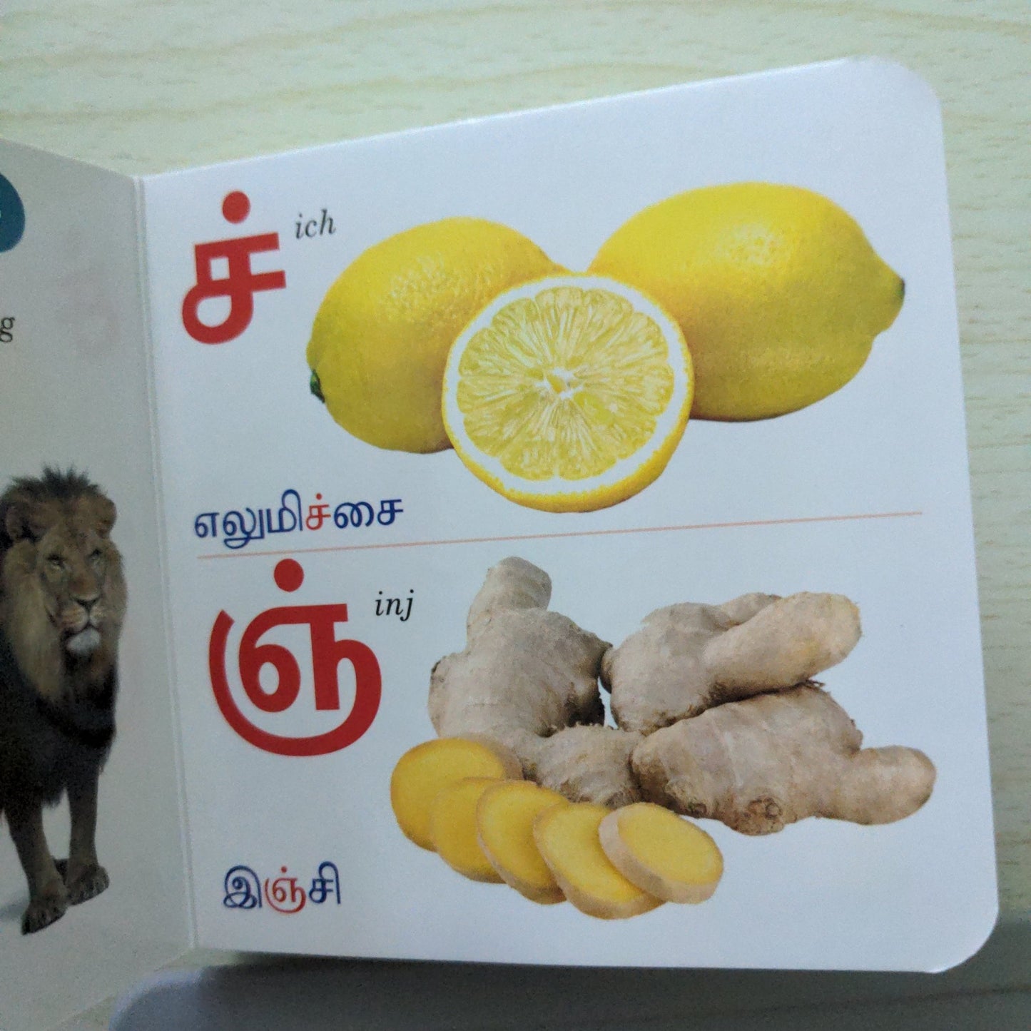 Tamil Arichuvadi - Little Board Book - We Are Turners