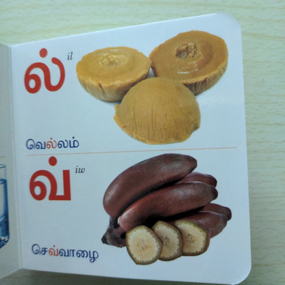 Tamil Arichuvadi - Little Board Book - We Are Turners