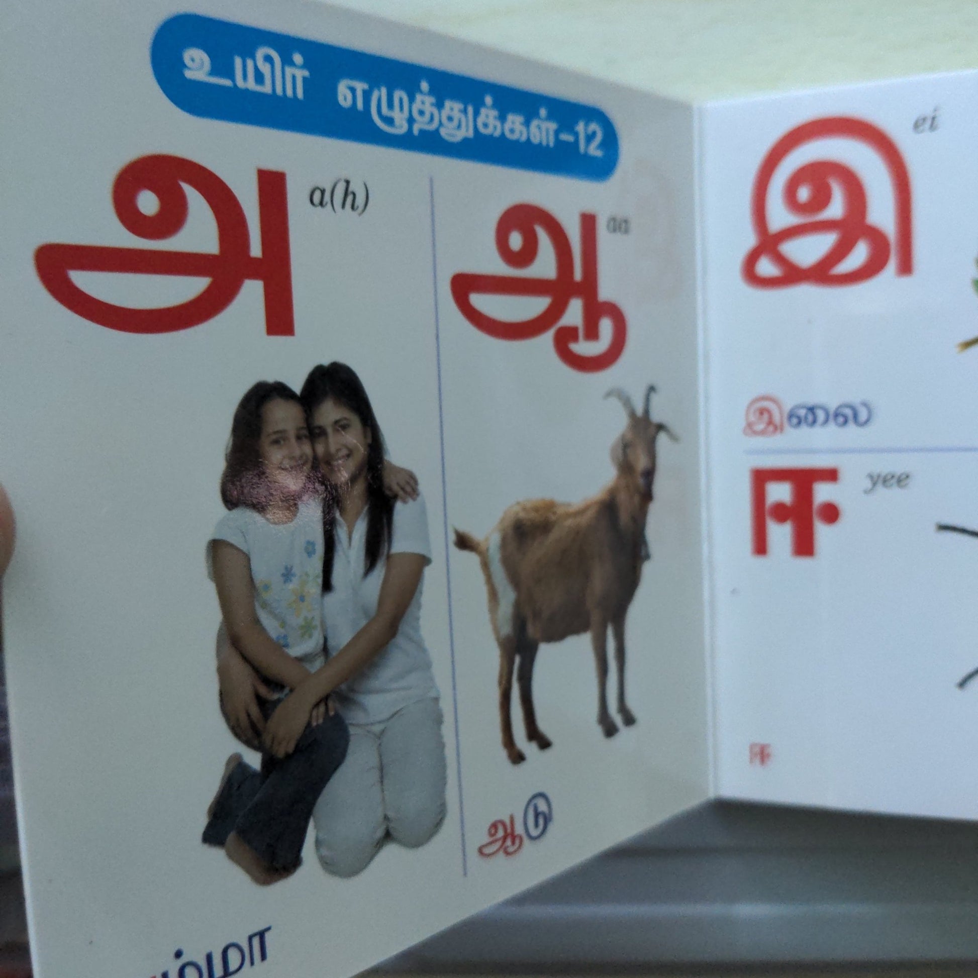 Tamil Arichuvadi - Little Board Book - We Are Turners