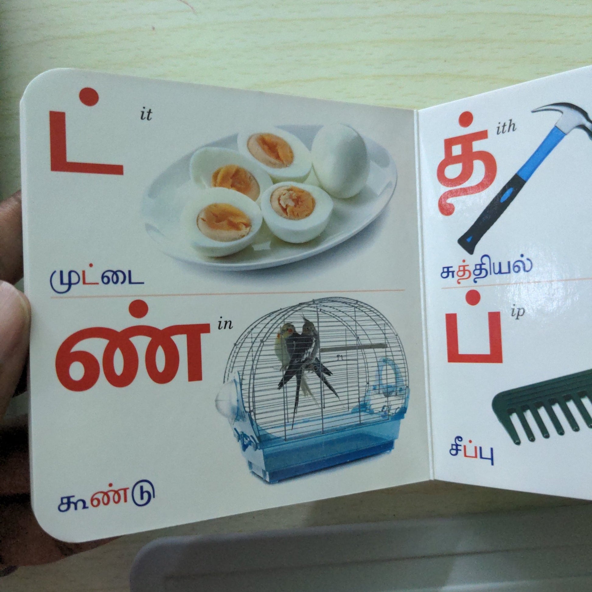 Tamil Arichuvadi - Little Board Book - We Are Turners