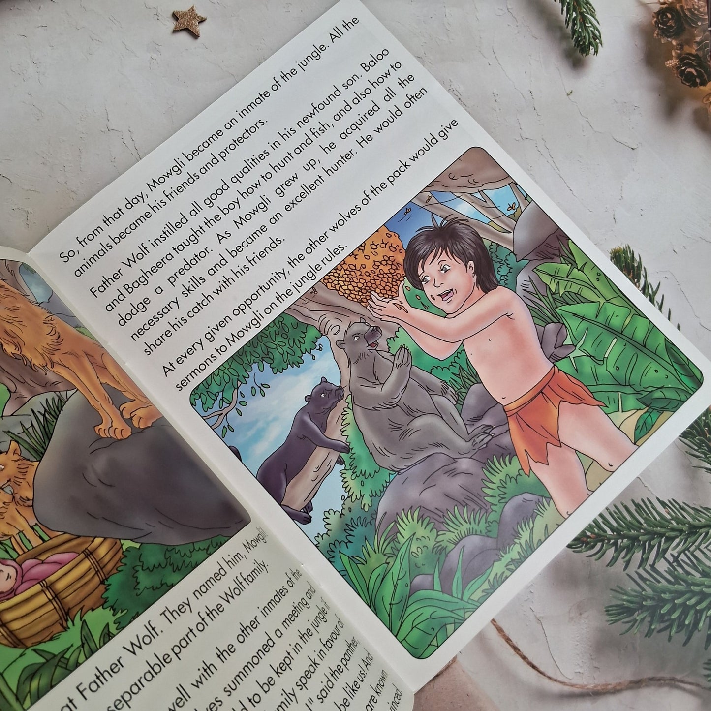 The Jungle Book : Illustrated Classics - We Are Turners