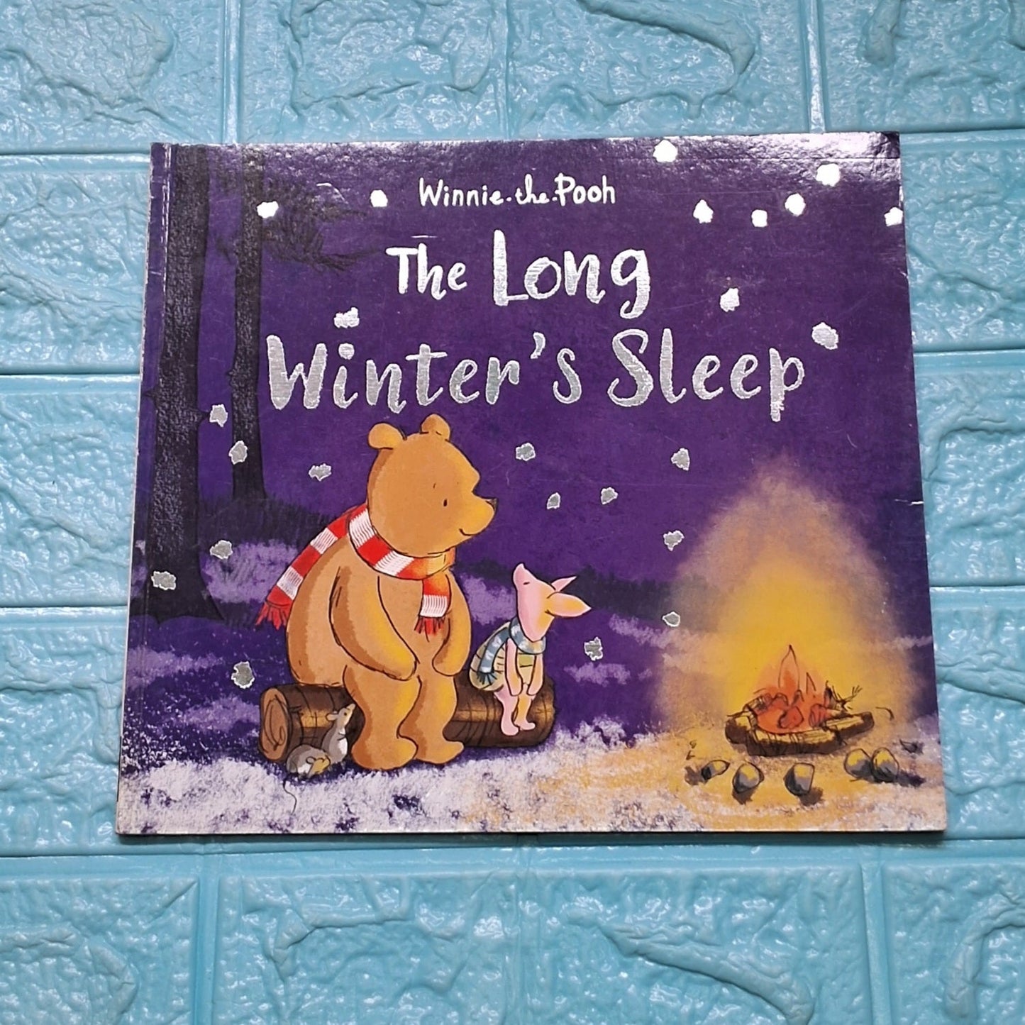 The Long Winter's Sleep - Very Good Condition Paperback - We Are Turners