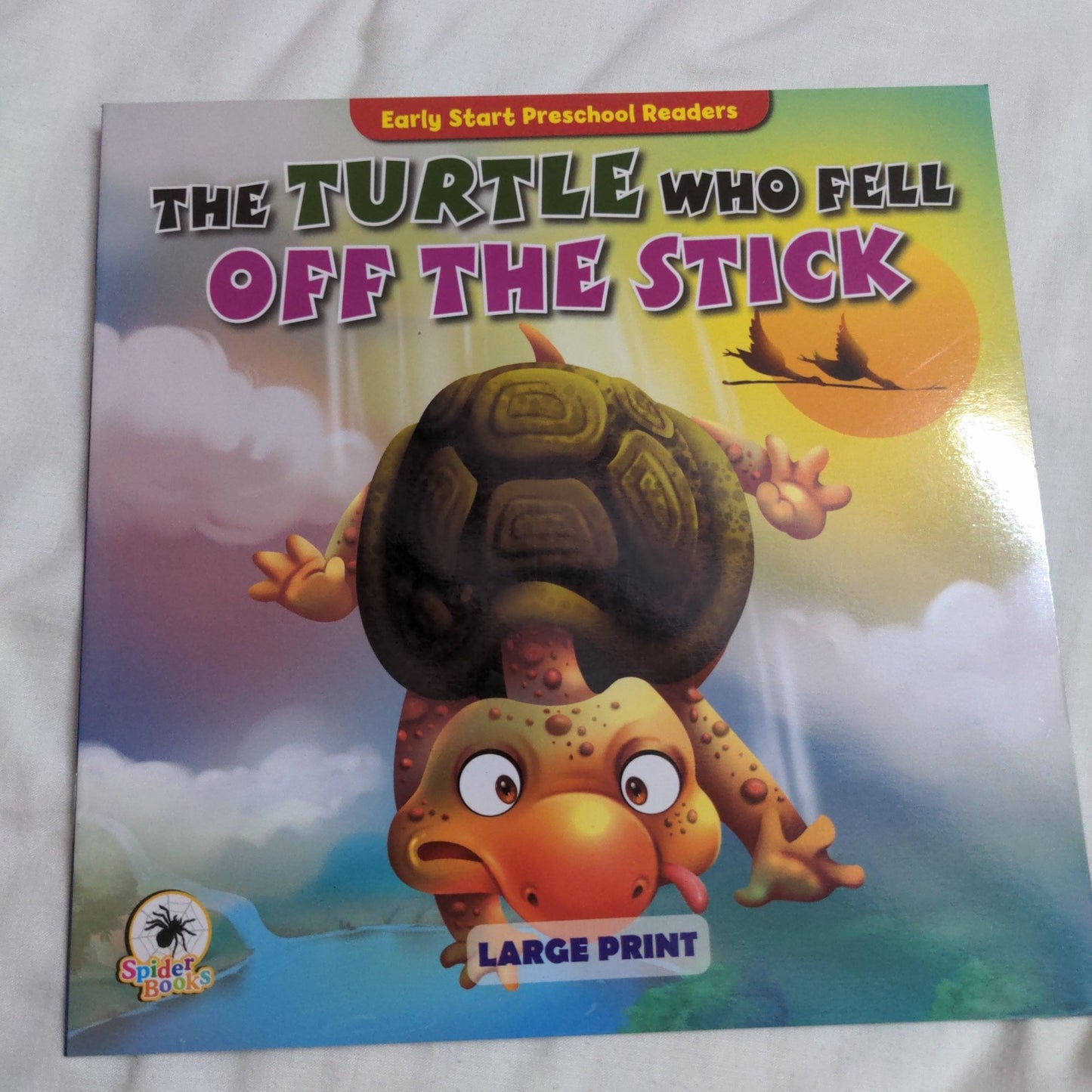 The Turtle who Fell off the Stick - We Are Turners