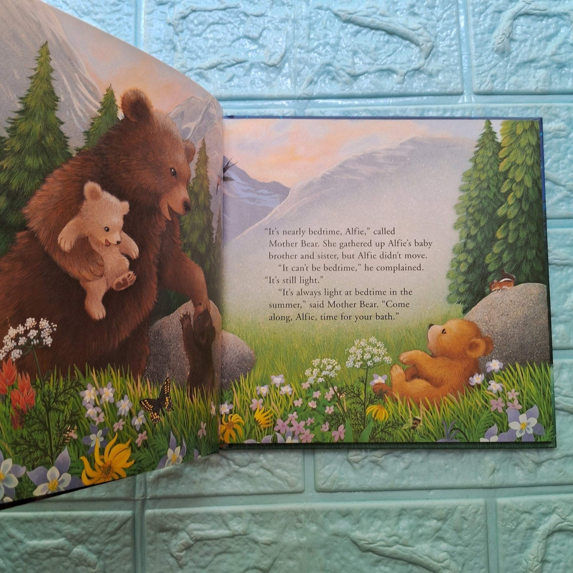 Time to Sleep Alfie Bear - Very Good Condition Hardcover. - We Are Turners