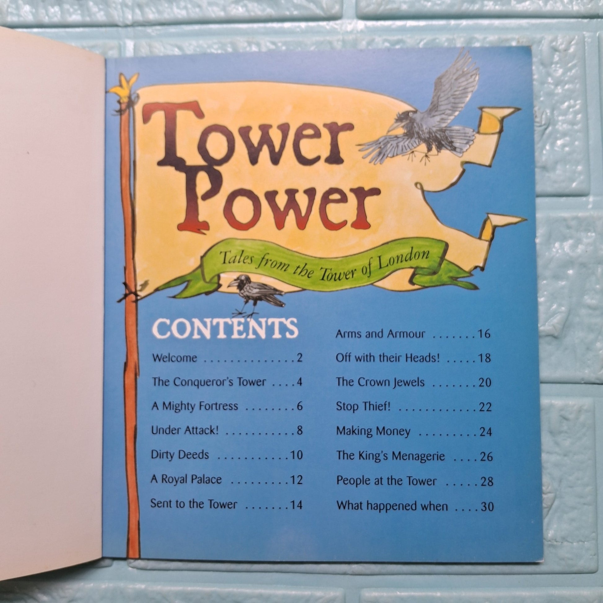 Tower Power - Very Good Condition Paperback - We Are Turners