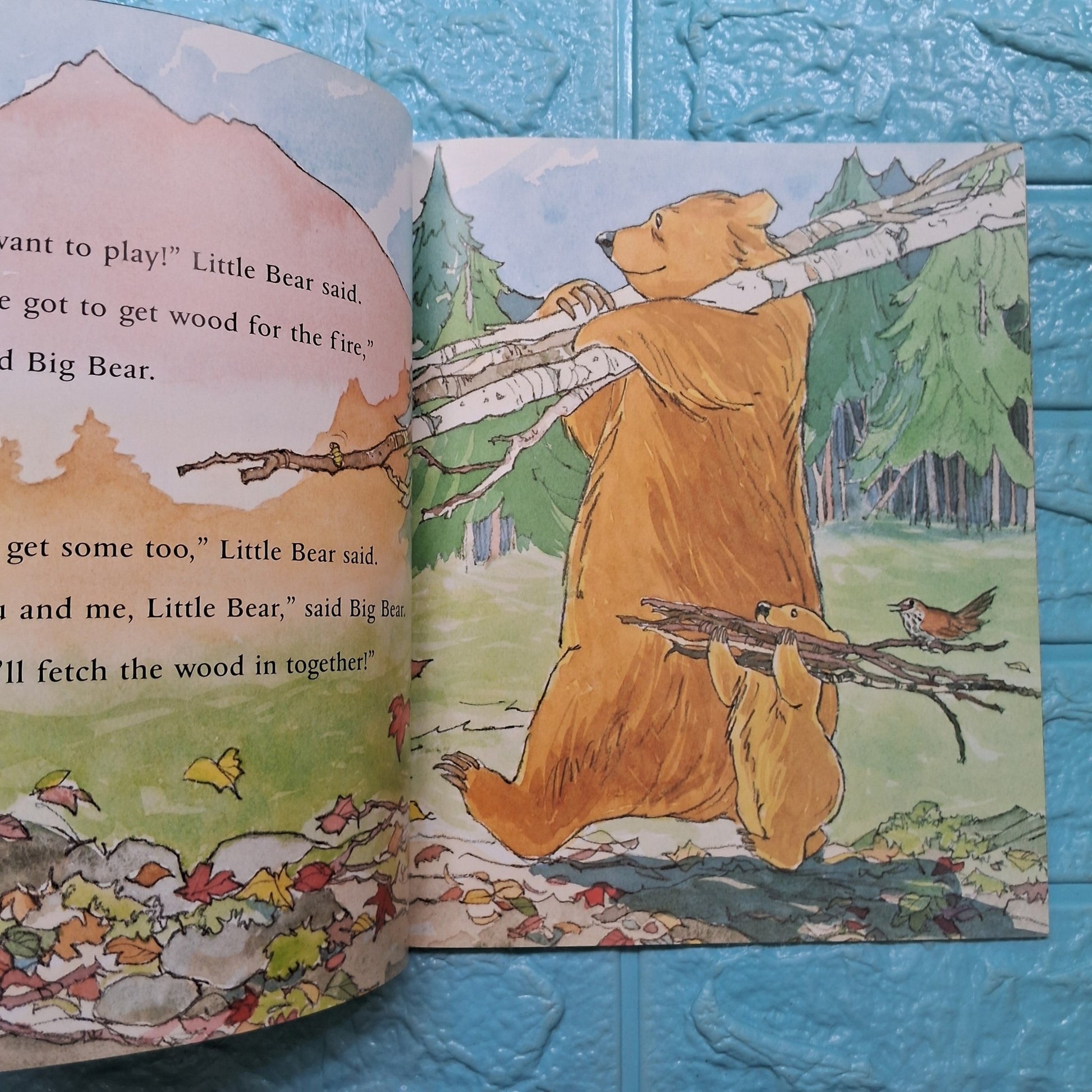 You and Me Little Bear - Very Good Condition Paperback - We Are Turners